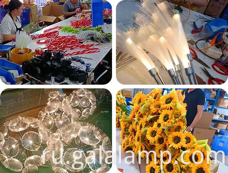 Очарование на солнечной бабочке для садовой атмосферы для садовой атмосферы